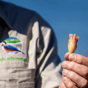 2 Hour Guided Coastal Walk & Traditional Wild Food Tasting