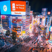 Tokyo: Private Guided Tour with Hotel Pickup and Drop-off