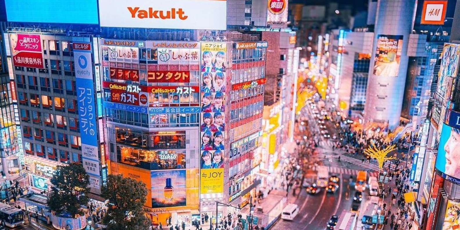 Tokyo: Private Guided tour with Hotel pick-up and Drop-off