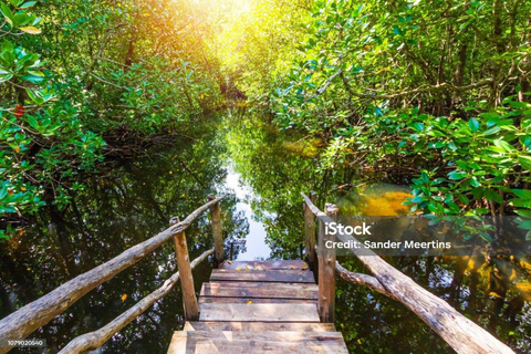 Zanzibar: wycieczka do lasu JozaniWycieczka prywatna bez transportu z/do hotelu, wszystkie bilety wstępu w cenie