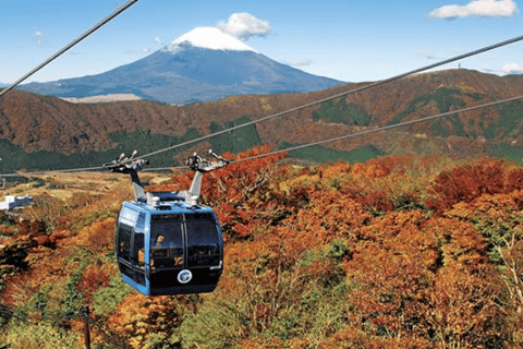 Mount Fuji Full Day Private Customizable Tour with Guide