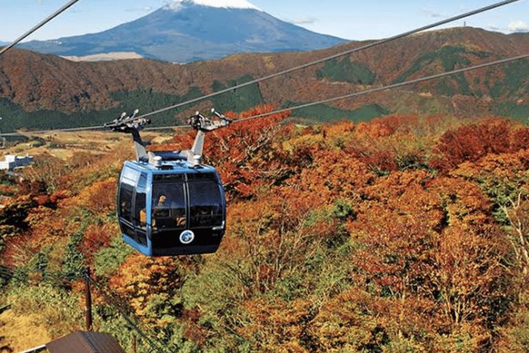 Mount Fuji Full Day Private Customizable Tour with Guide