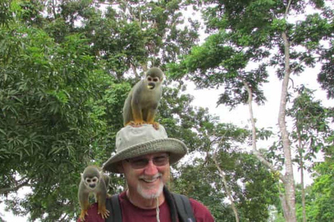 Von Iquitos aus: Ausflug zur Affeninsel (ganztägig)