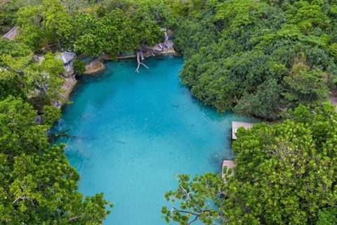 Port Vila: Blue Lagoon, Eden on the River & Turtle Tour