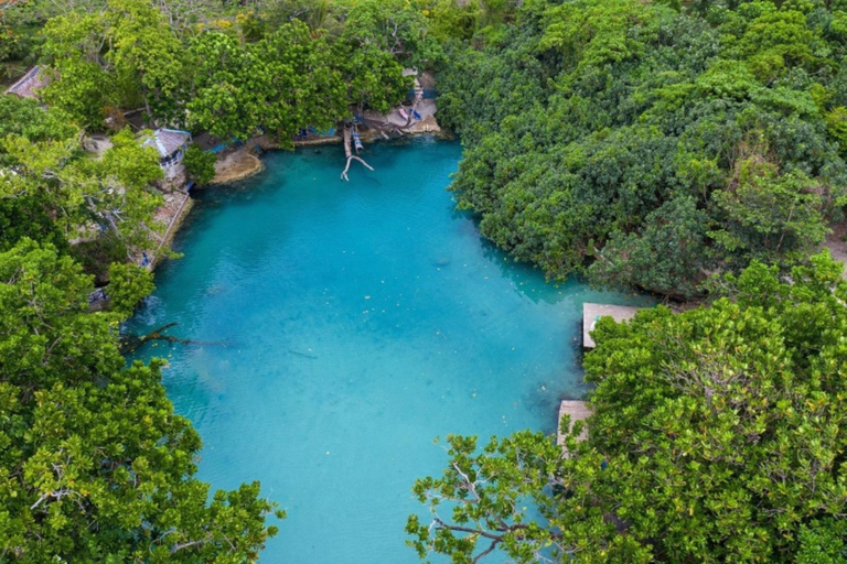 Port Vila: Blue Lagoon, Eden on the River & Turtle Tour
