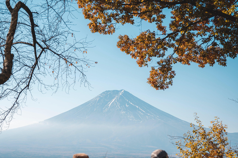 Mount fuji And hakone full day private tour Five star tour