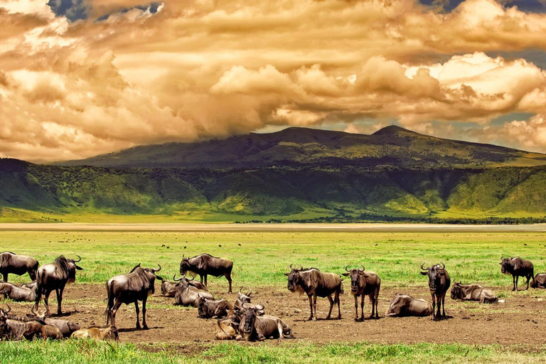 Tansania: 6-tägige Safari-Abenteuerreise mit Wildtieren und KulturTansania: 6 Tage Safari-Abenteuer mit Wildtieren und Kultur