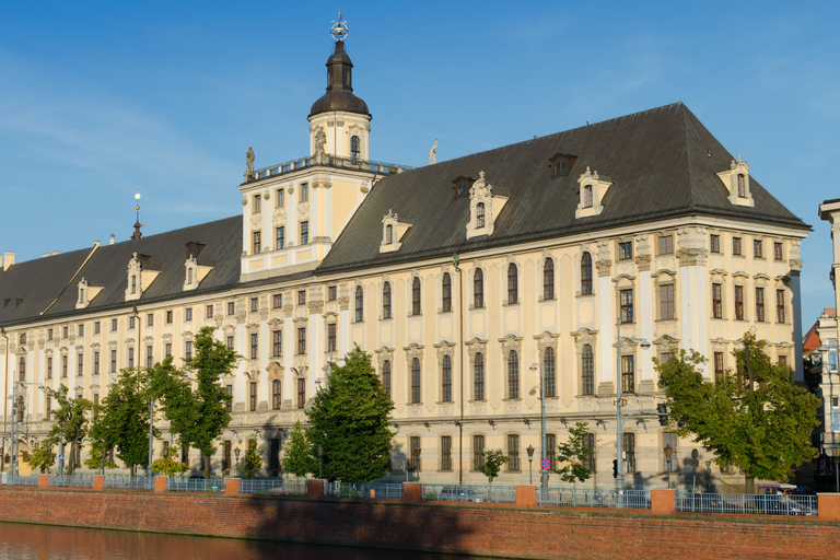 Wrocław: Old Town Private Walking Tour with Viewpoint Entry Wrocław: Old Town Private Walking Tour with Viewpoint Entry
