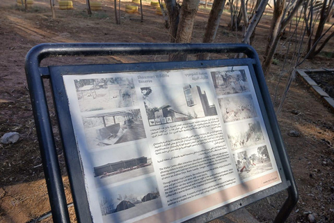 Amman: Desert Castles Shaumari Wildlife Private Day Trip