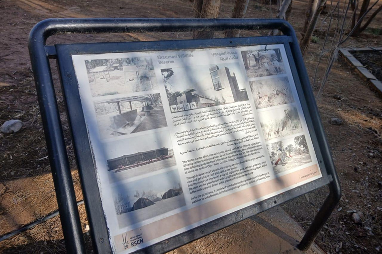 Amman: Desert Castles Shaumari Wildlife Private Day Trip