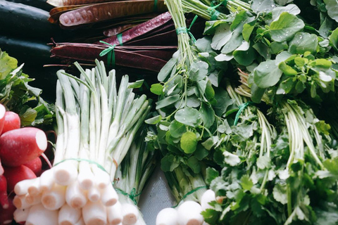 Mexico City: Market Tour and Mexican Cooking Class