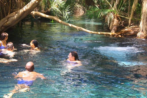 Chemka Hot Springs Tour