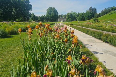 The Ultimate Basel Garden Tour