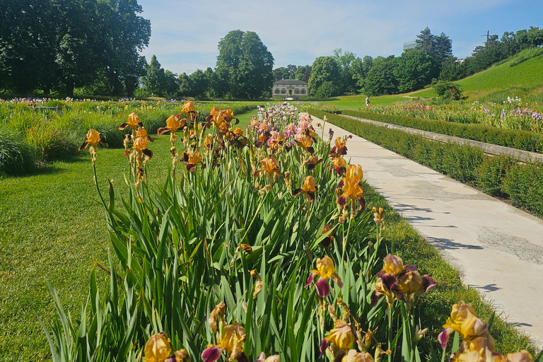 The Ultimate Basel Garden Tour