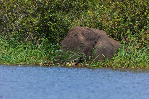 Visit Akagera national park with Passionate Guide