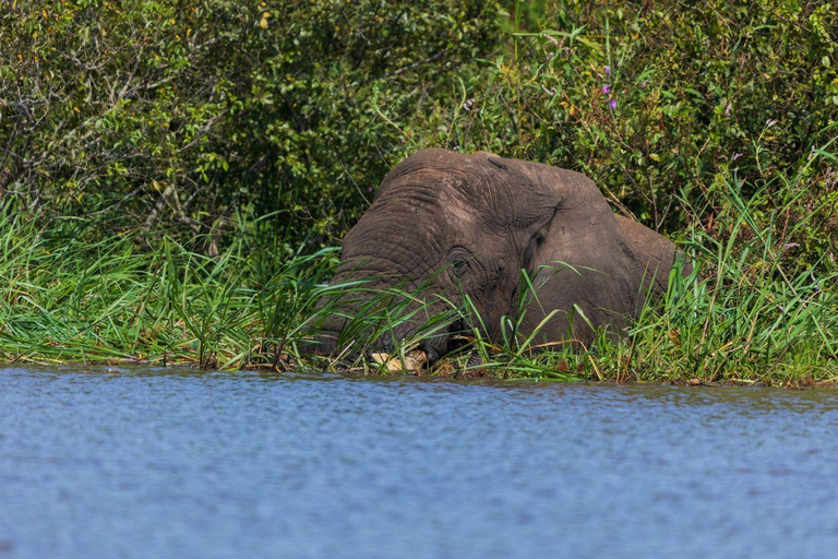 Visit Akagera national park with Passionate Guide