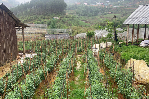 2-Day Sapa City Tour & Discover Fansipan Mountain From Hanoi