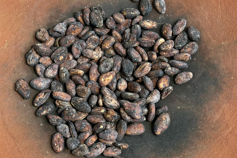 Oaxacan Chocolate Class: From Cocoa to Chocolate Oaxacan Chocolate Lesson: From Cocoa to Chocolate
