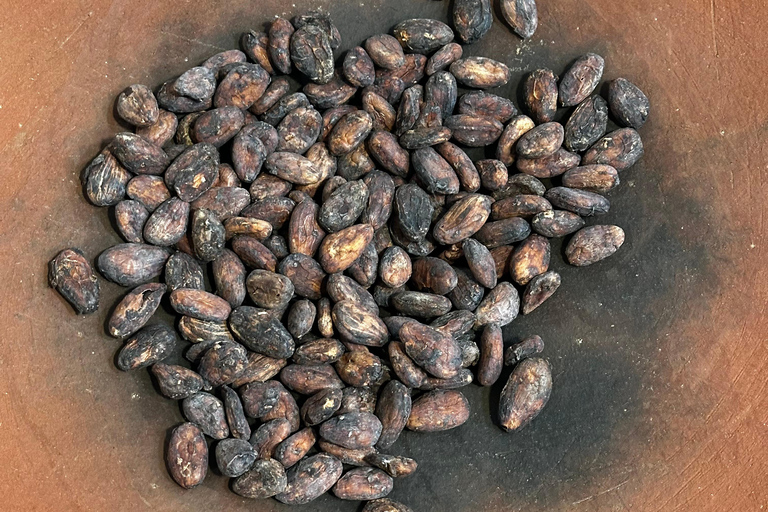 Oaxacan Chocolate Class: From Cocoa to Chocolate Oaxacan Chocolate Lesson: From Cocoa to Chocolate