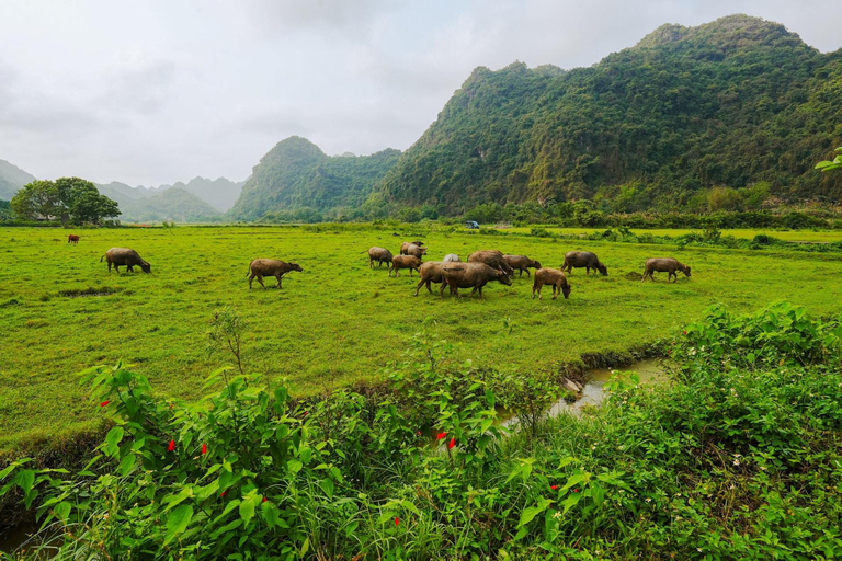 Hanoi/Catba: 2-Day Adventure Cat Ba National Park,Lan Ha Bay From Hanoi: 2-Day Adventure