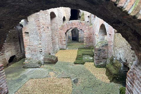 Rome: Colosseum Small Group Underground & Arena Floor Tour
