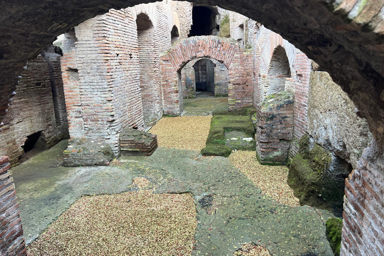 Rome: Colosseum Small Group Underground & Arena Floor Tour