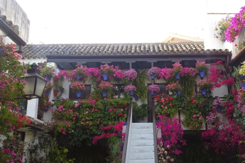 Depuis Séville : Excursion privée d'une journée à Ronda et Cordoue