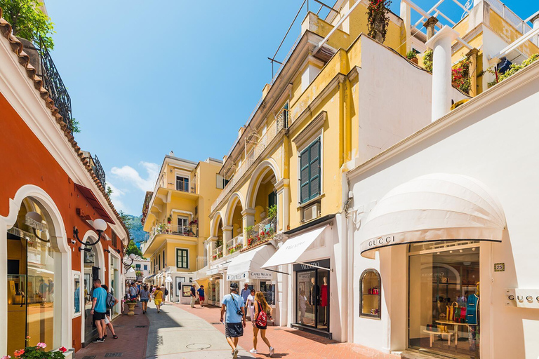 Capri Coast Tour: Private Boats Experience & Transfer Option Medium-Boat Tour only, Without Transfer