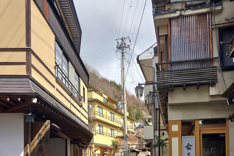 Nagano: Snow Monkey Park, Soba Lunch, and Shibu Onsen Tour Tour + Onsen Stamp Towel