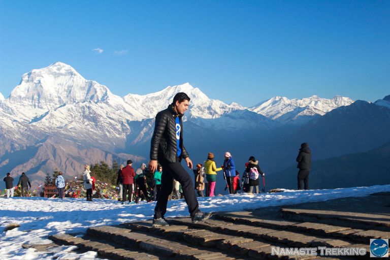 From Pokhara: 2-Day Short Poon Hill Trek