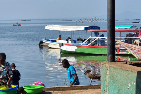 Dunga: Tour guidato a piedi del villaggio di pescatori con una guida locale