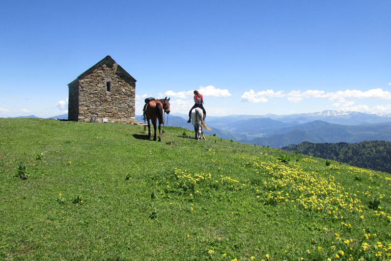 1 giorno di avventura a cavallo nei monti Borjomi1 giorno di avventura a cavallo nel Parco Nazionale di Borjomi