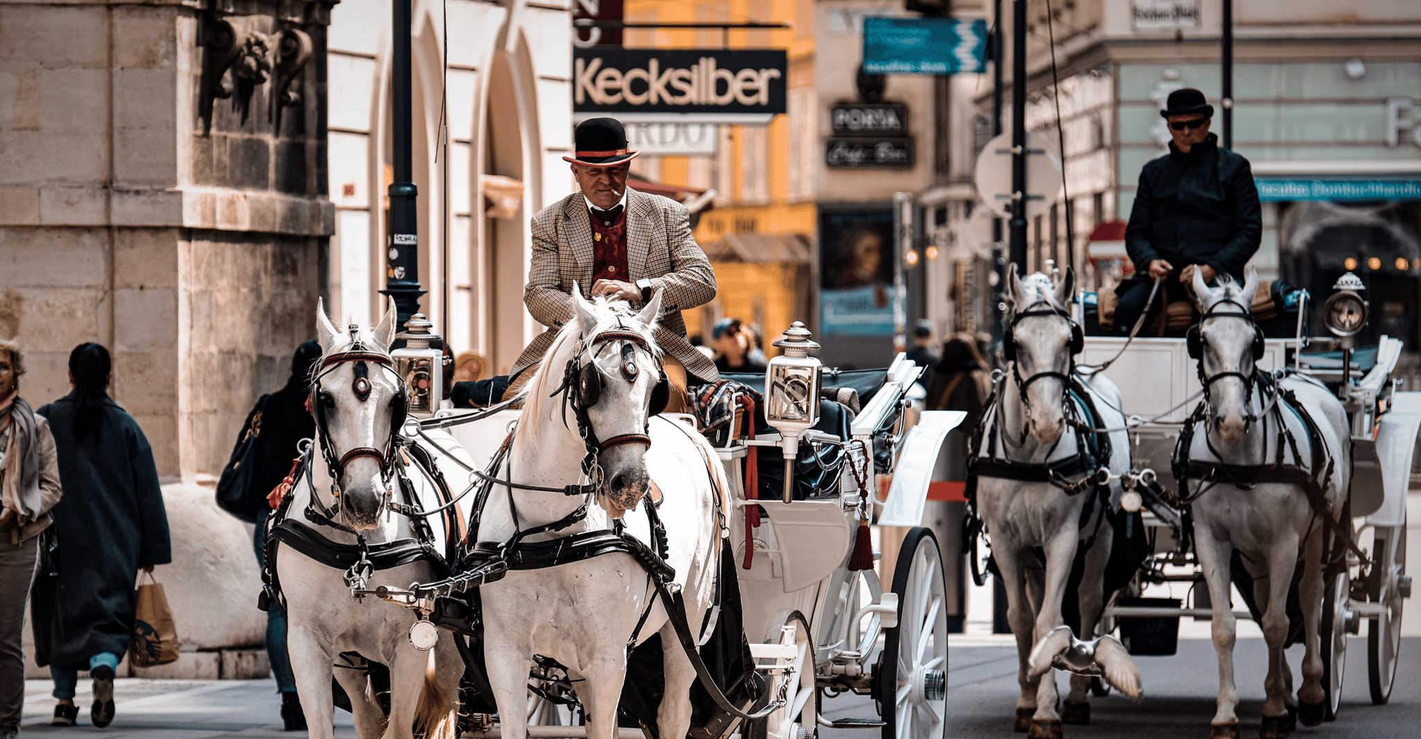Vienna, EasyCityPass with Public Transportation & Discounts - Housity