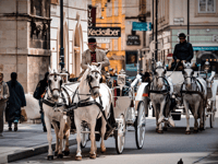 Viena, EasyCityPass con transporte público y descuentos - Housity