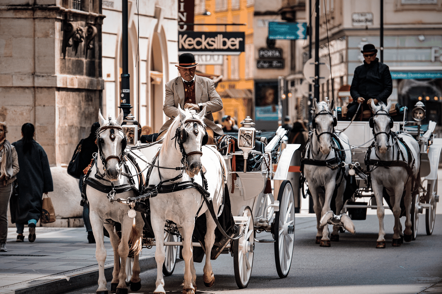 「ウィーン観光パス：交通機関＆割引満載」