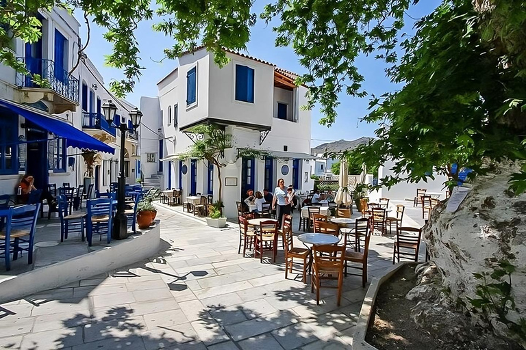 5 Hours Semi Private Tinos Cultural Van Tour