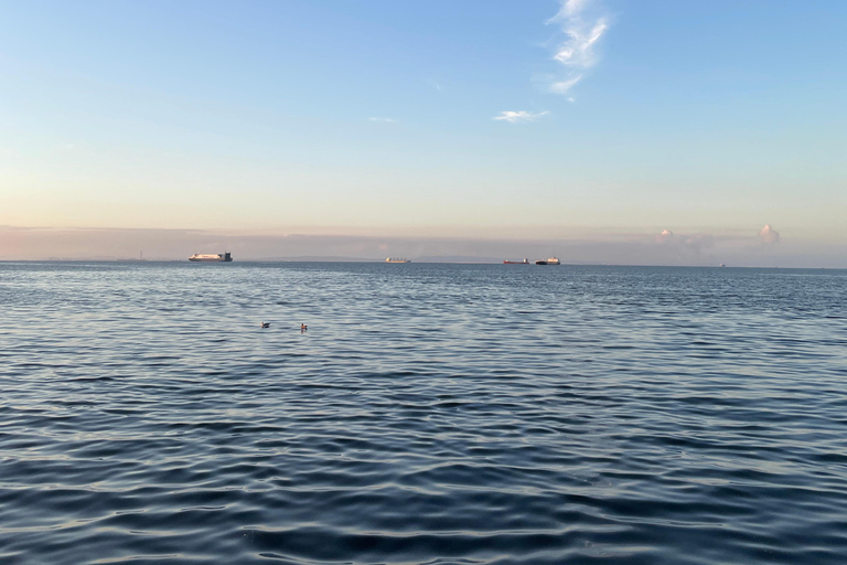 Tokyo Bay Fishing Experience with Your Catch Cooked Fresh