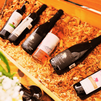 Tequisquiapan Fromage et Route du Vin Classique - Hizvo