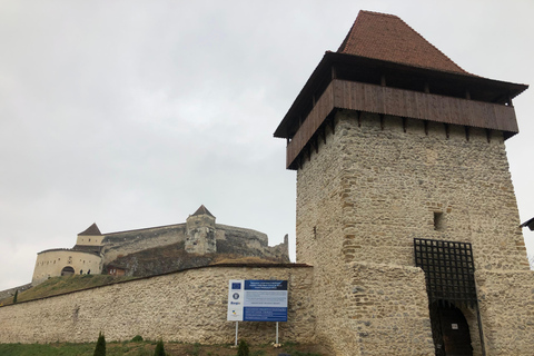 Brasov: Kasteel van Bran, Berenreservaat, Rasnov (Peles optioneel)