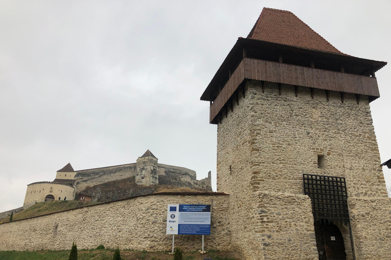 Brasov : château de Bran, sanctuaire des ours, Rasnov (Peles en option)