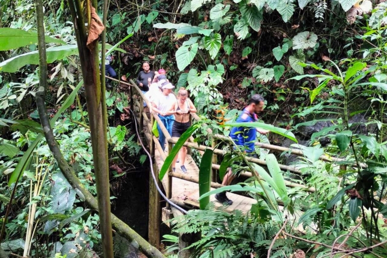 Tour del cacao - San Rafael Antioquia desde MedellínWycieczka po kakao – San Rafael Antioquia