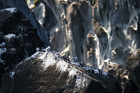 圣米格尔岛：火山奇观、洞穴与历史游船之旅