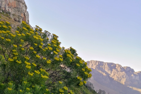 Guided Table Mountain Hike – Kasteelspoort Scenic Route Beautiful Table Mountain Hike: Kasteelspoort Scenic Route