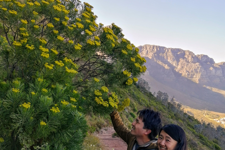 Guided Table Mountain Hike – Kasteelspoort Scenic Route Beautiful Table Mountain Hike: Kasteelspoort Scenic Route