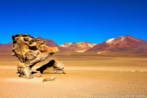 Salar de Uyuni Tour 3D/2N | Belleza + Paisajes Asombrosos