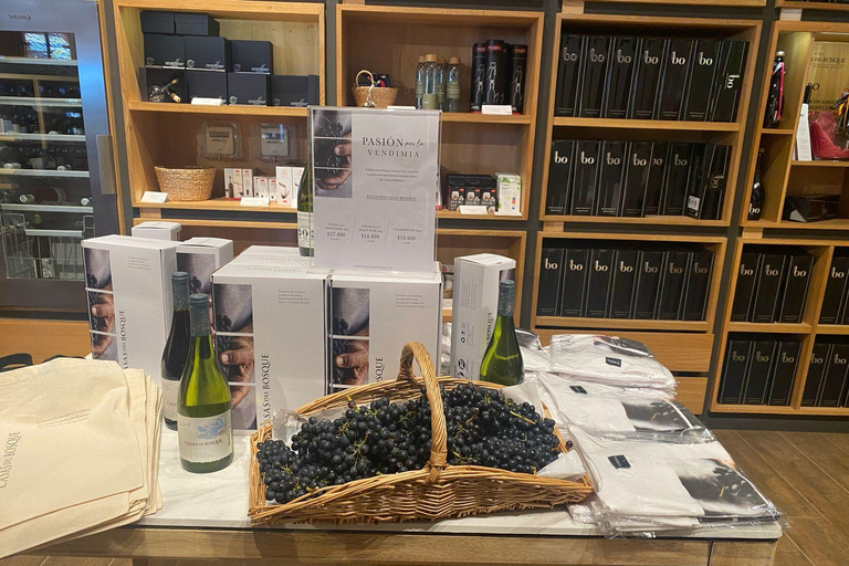 Farellones and Casablanca Valley: Private Mountain Tour and Premium Wines