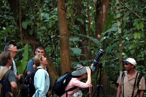 Visit to Corcovado National Park via the San Pedrillo station