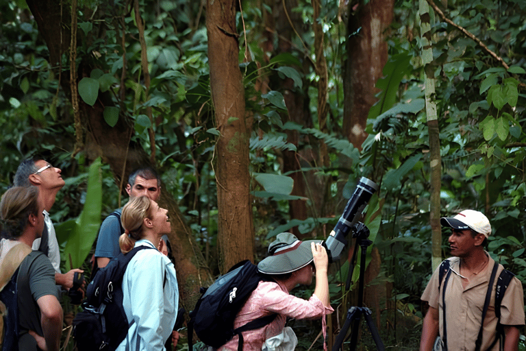 Visit to Corcovado National Park via the San Pedrillo station
