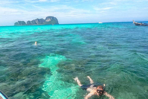 da phi phi : gita di snorkeling in long tail