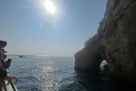 Zakynthos: Rejs dookoła wyspy i żółwie przez EuroskyWrak statku Blue Caves &amp; Turtles Island Ceri Caves